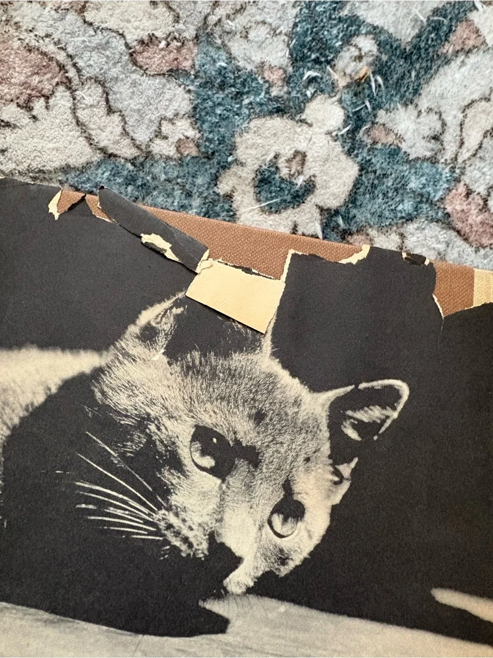 The Personality of a Cat Vintage Book